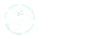 タイヤセンター上三川(TYRE CENTER KAMINOKAWA)